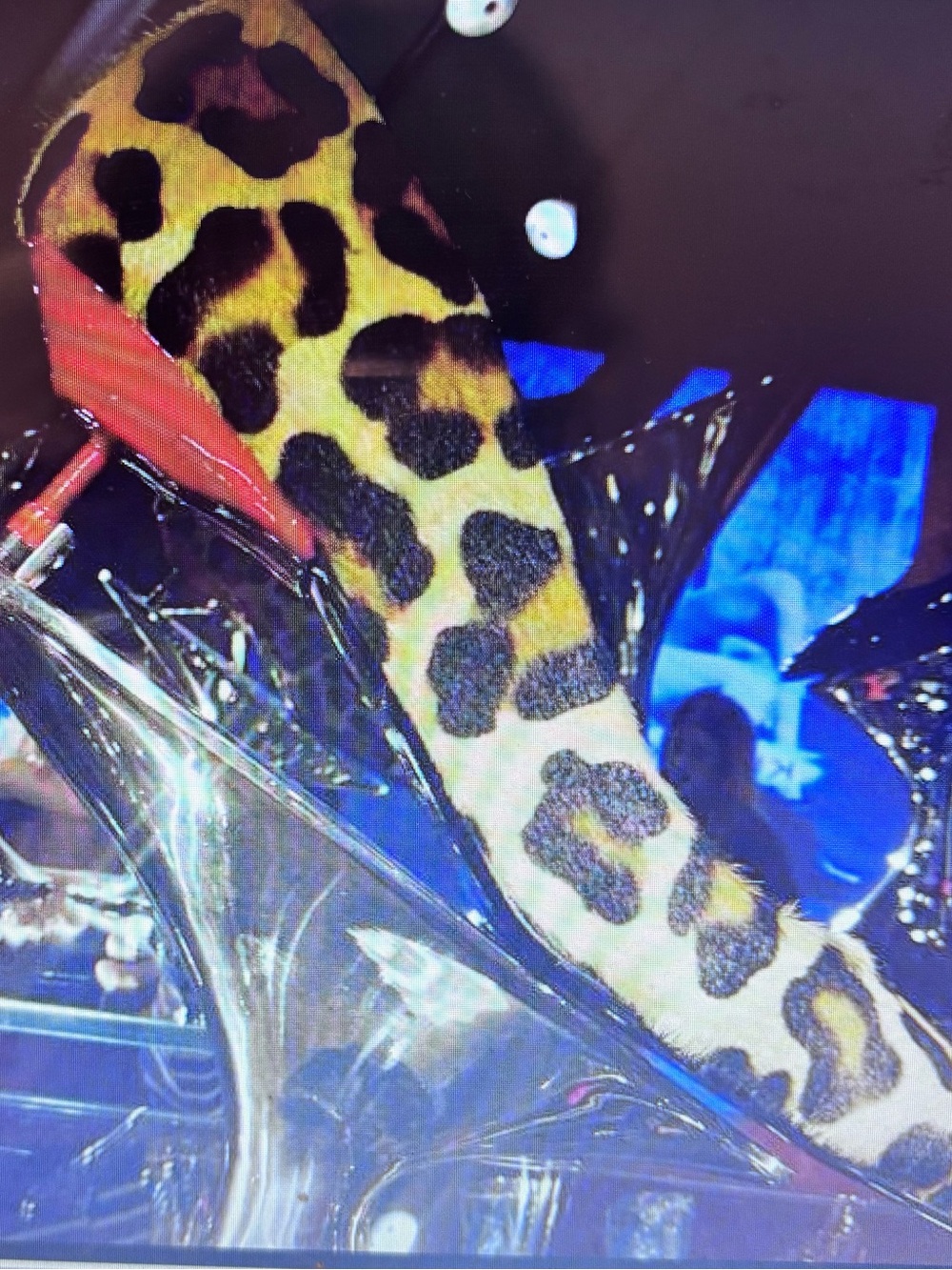 Kurt Geiger Leopard Print Pointed Stiletto Heels in Yellow and Black